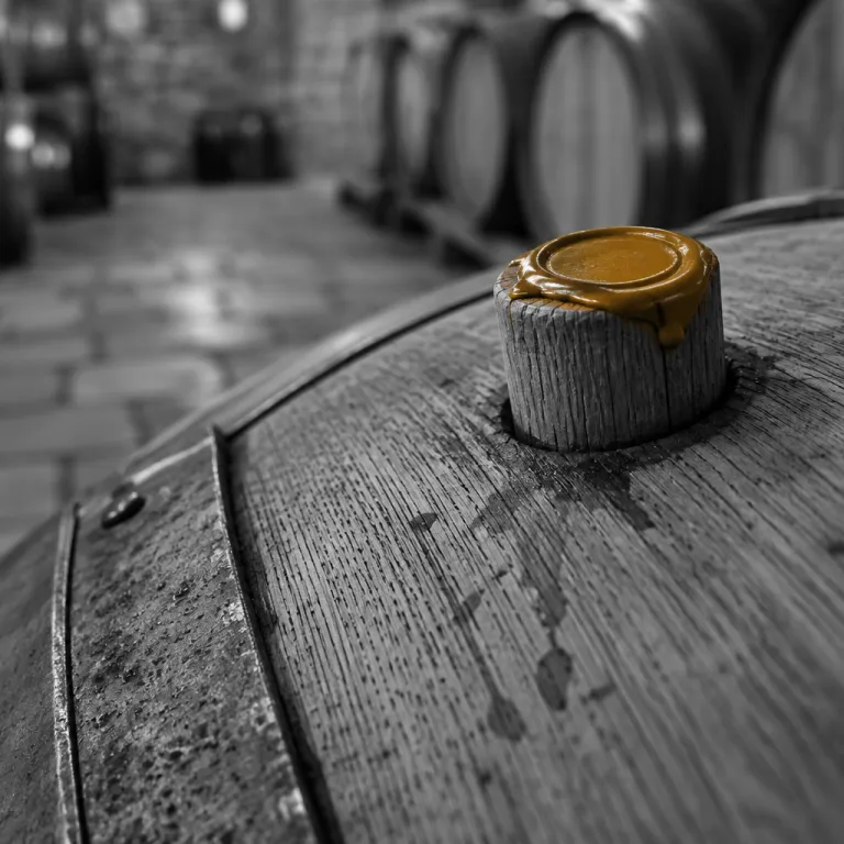 The Cellar Downstairs: Guesthouses Where Wine Is Part of the House